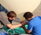IMG 7481