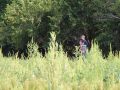 IMG 7546