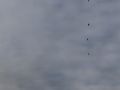 img 7229