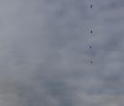 img 7229