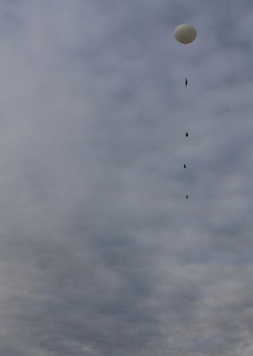 img 7229