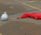img 7321