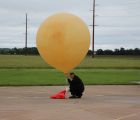 img 7335