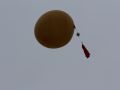 img 7339