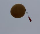 img 7339