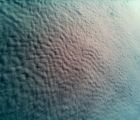 pic 00093