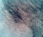 pic 00192