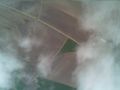 pic 00289