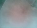 pic 00290