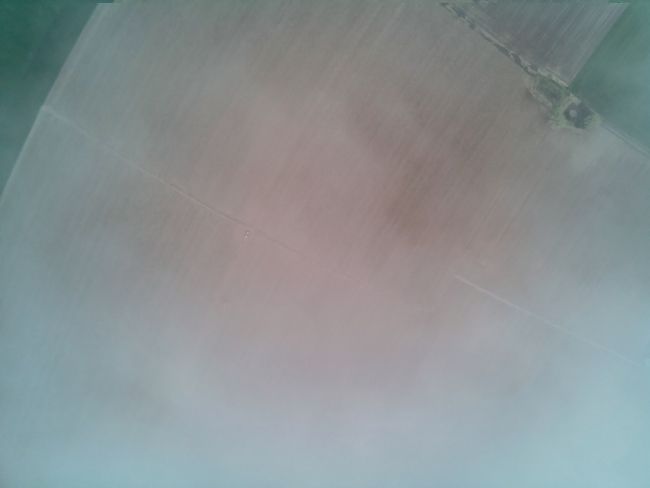 pic 00290