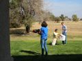 IMG 7915