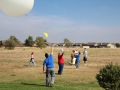 IMG 7938