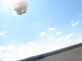IMG 9715