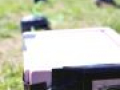 IMG 0233  Large 