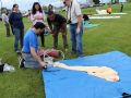 IMG 0673  Large 