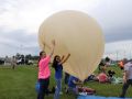 IMG 0720  Large 