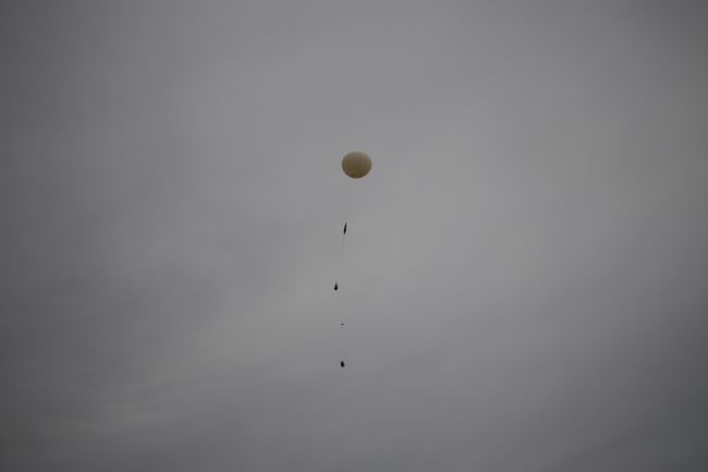 IMG 0739