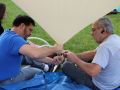 IMG 0777  Large 