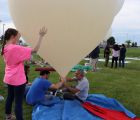 IMG 0790  Large 