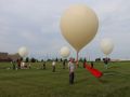 IMG 0810  Large 