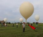 IMG 0810  Large 