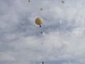 IMG 0827  Large 