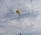 IMG 0827  Large 