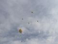 IMG 0828  Large 