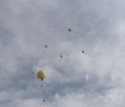 IMG 0828  Large 