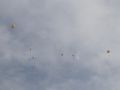 IMG 0839  Large 