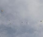IMG 0839  Large 