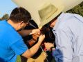 IMG 0950