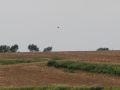 landing cropped
