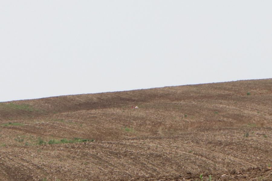 on ground