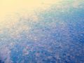 img 2779 img 2779