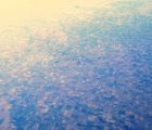 img 2779 img 2779