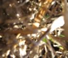 img 3086