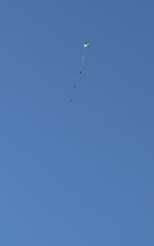 img 6986