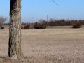 img 6989