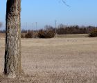 img 6989