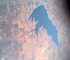 pic 00276