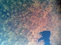 pic 00373