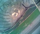 pic 00513