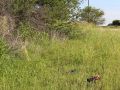 img 5922