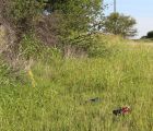 img 5922