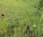 img 5926