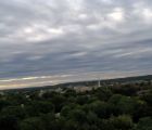 img 1664