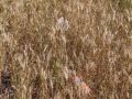 img 5852