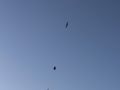 img 590510