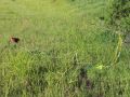 img 59261